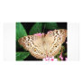 Butterfly Personalized Photo Card