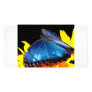 Butterfly Custom Photo Card