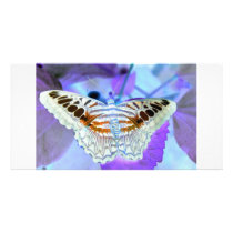 Butterfly Photo Card Template