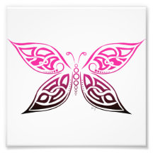 Butterfly Photo