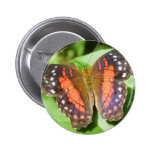 butterfly pin