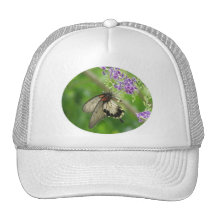 Butterfly Pollinating Baseball Cap Mesh Hat
