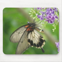 Butterfly Pollinating Mouse Pad