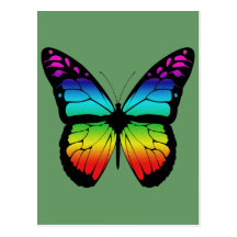 BUTTERFLY POST CARD