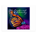 Butterfly Post Cards