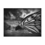 butterfly post cards