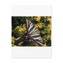 Butterfly Postcard