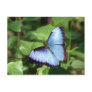 butterfly post card