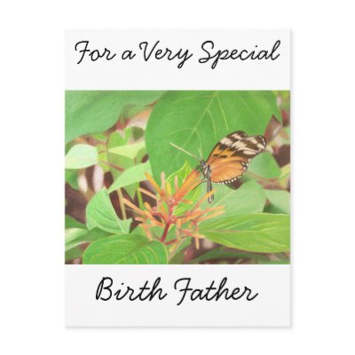Butterfly by adoptiondesigns
