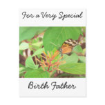 Butterfly postcards