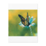 Butterfly Post Cards