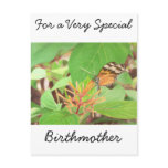 Butterfly Postcard