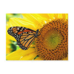 Butterfly Postcards