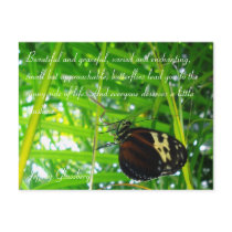 Butterfly Postcard / Quote