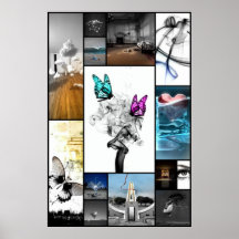 Butterfly Posters