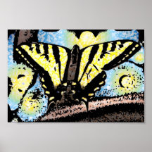 butterfly print