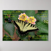 Butterfly Posters