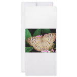 Butterfly Custom Rack Card