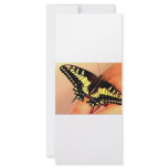 Butterfly rack cards
