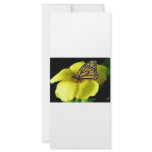 Butterfly rack cards
