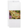 Butterfly Custom Rack Cards