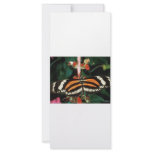 Butterfly Custom Rack Cards