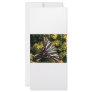 Butterfly Customized Rack Card