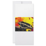 Butterfly rack cards