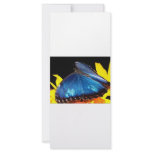 Butterfly rack cards