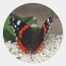 Butterfly Red Admiral stickers