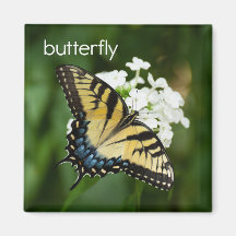 Butterfly Refrigerator Magnet