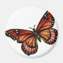 butterfly refrigerator magnet