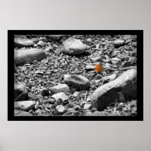 Butterfly Selective Colouring Print