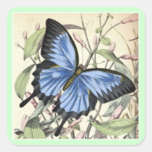 Butterfly Square Sticker.