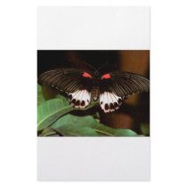Butterfly Custom Stationery