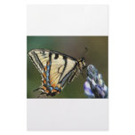 Butterfly stationery