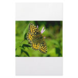 Butterfly stationery