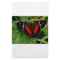 Butterfly Personalized Stationery