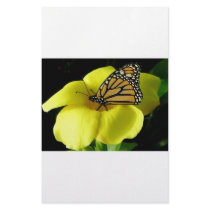 Butterfly Stationery Design