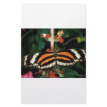 Butterfly Personalized Stationery