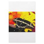 Butterfly Stationery Design