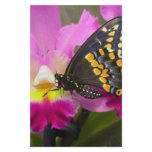 Butterfly stationery