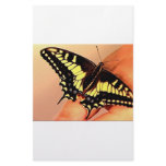 Butterfly Custom Stationery