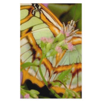 Butterfly Personalized Stationery