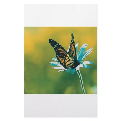 Butterfly Personalized Stationery by oddbob