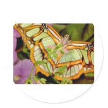 Butterfly Round Stickers