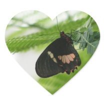 Butterfly Sticker