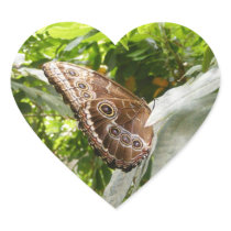 Butterfly Stickers