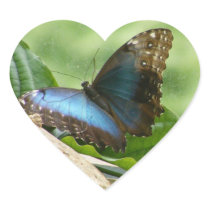 Butterfly Sticker