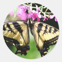 Butterfly Sticker